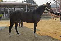 GANGNYEOKHANJIGEUM picture