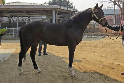 ���������� ����