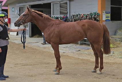 �����Ǻ� ����