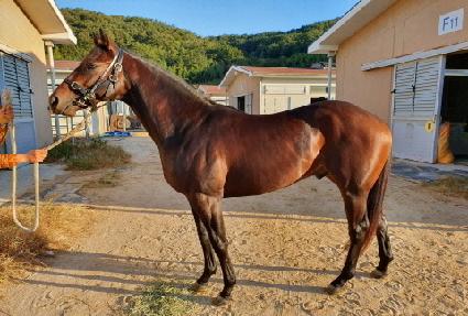 �����ÿ��� ����