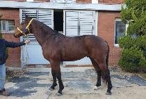 �ູ�ô� (HAENGBOK SIDAE) ����