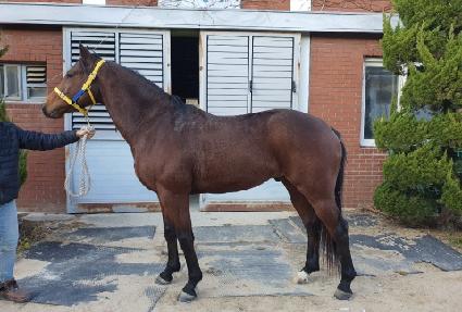 �ູ�ô� ����