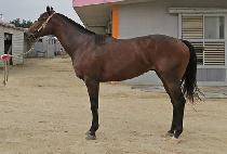 �ε彺ī�� (ROAD SKY) ����