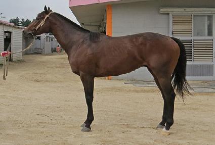 �ε彺ī�� ����