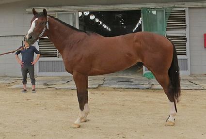 ��Ŭ���� ����