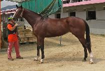 �ĳ��ĭ (PANORAMA KHAN) ����