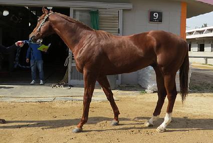 ��Ʈ�� ����