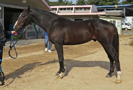 ���̿�����Ȳ ����