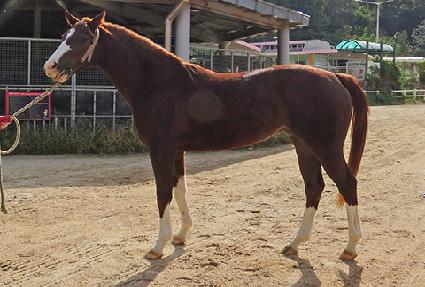 ����������Ʈ ����