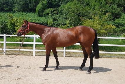 ����ݸ޴� ����