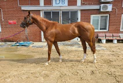 ����è�� ����