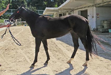 ������ ����