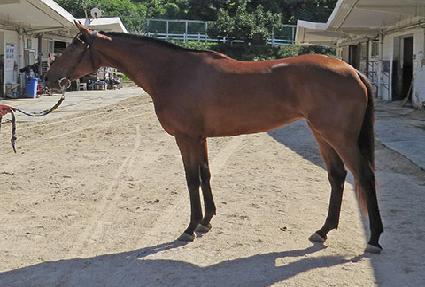 ��ٸ����� ����