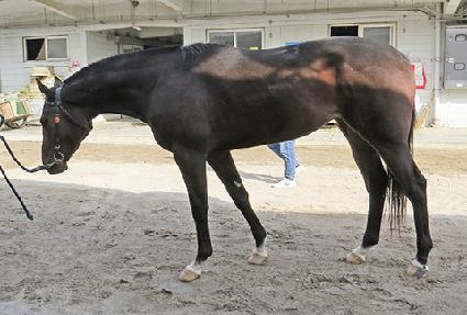 �׸����� ����