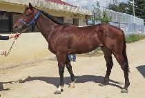 ����Ƽ�� (MIGHTY WELL) ����