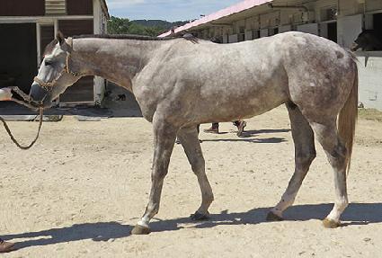 Ƽ����� ����