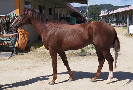 ���귯�� ����