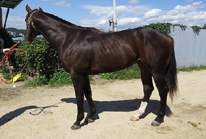 ���絹ǳ ����