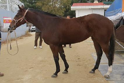 �θǽ��� ����