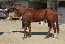 ���а���Ʈ (MOONHAK GHOST) ����