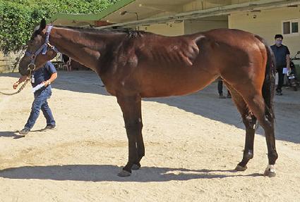 ���нù� ����