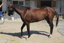 ���н��� (MOONHAK SLEW) ����