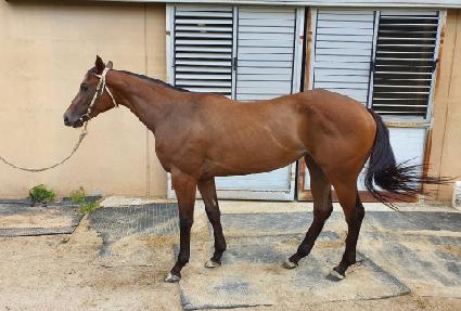 ���̺��̺�� ����