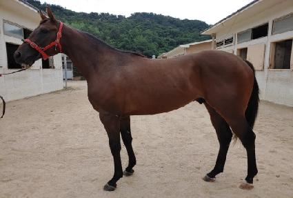 ŷ�������ġ ����