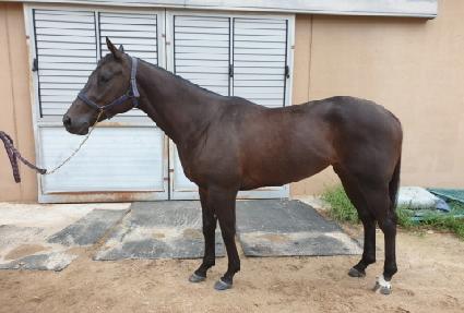 ��극��ũ ����