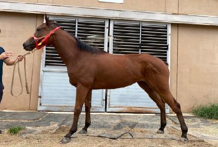 �������� ����