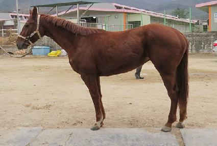 ���̿��� ����