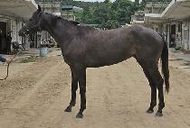 PERFECT TIME picture