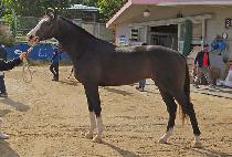 ������ (TOURING RANY) ����