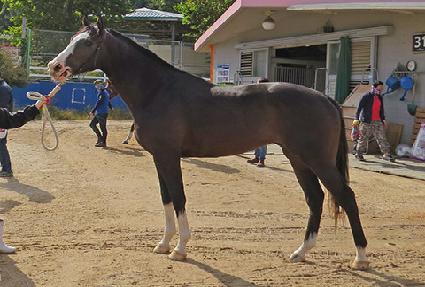 ������ ����