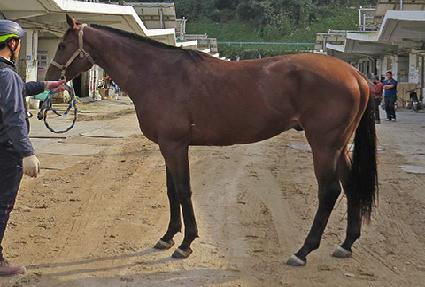 õ��Ŭ���� ����