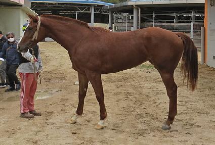 �ĳ���� ����