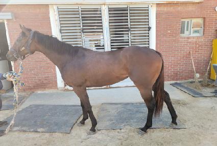 õ������ ����