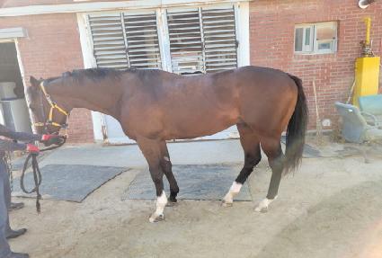 �������̽� ����