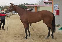 ���࿹�� (SEONYEO YECHAN) ����