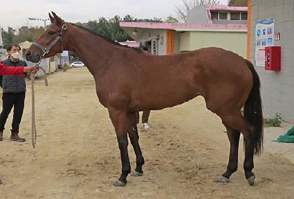 ���࿹�� ����