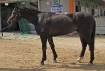 ���Ƴѹ��� (YOU ARE NUMBER TEN) ����