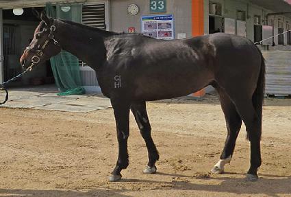 ���Ƴѹ��� ����