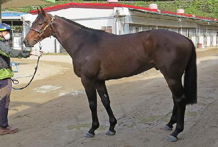 �⼼���� ����