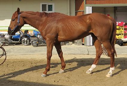 ö���� ����