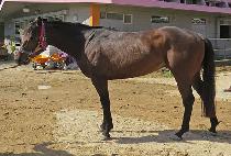 �̽�Ʈ����Ʈ (EAST POINT) ����