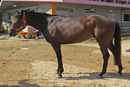 �̽�Ʈ����Ʈ ����