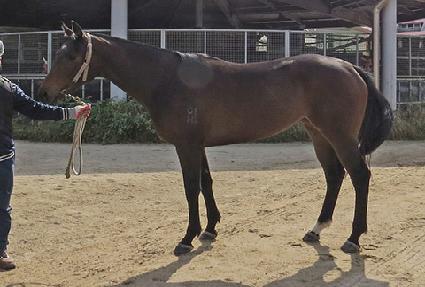 ��ġ��ġ ����