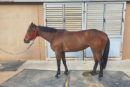 Ŭ��ġ���� ����