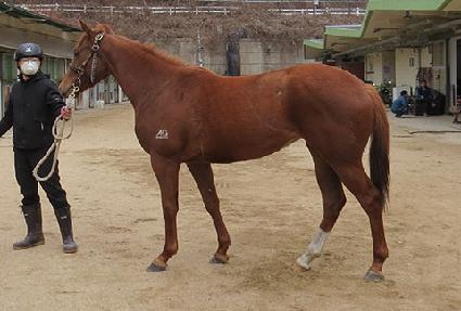 ���帲ĳ���� ����