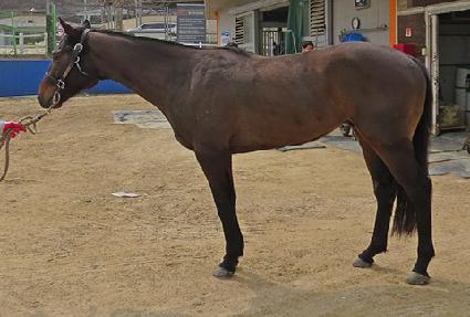 ���̼� ����